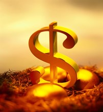 Dollar Sign bright